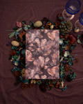 Moonlit Magnolia Diary